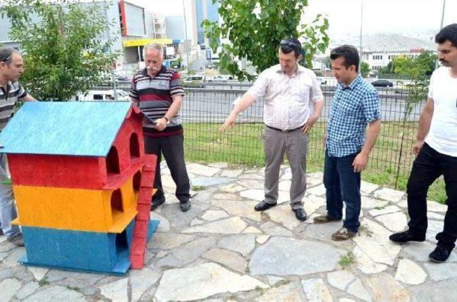 Hayvan Sevgisi Için 11 Okula Ayetli, Hadisli Kedi Evi Ve Kuş Barınağı