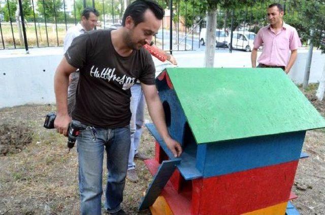 Hayvan Sevgisi Için 11 Okula Ayetli, Hadisli Kedi Evi Ve Kuş Barınağı