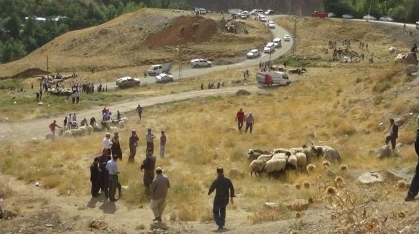 B&ouml;lgedeki &Ccedil;atışmalar Kurban Satışlarını Etkiledi