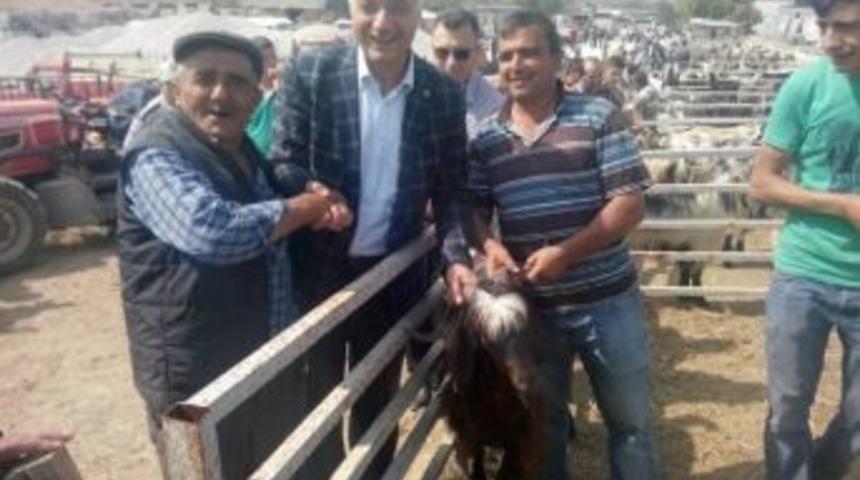 Orhaneli Belediye Başkanı İrfan Tatlıoğlu, Kurban Pazarındaki Son Durumu İnceledi