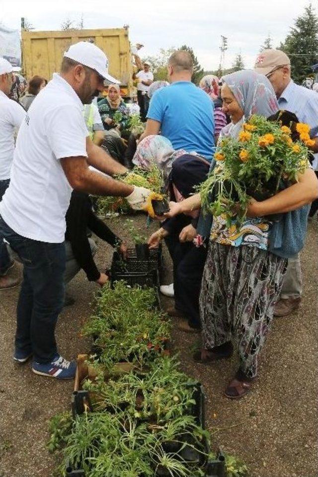 Kabir Ziyaretleri İçin Çiçekler Büyükşehirden