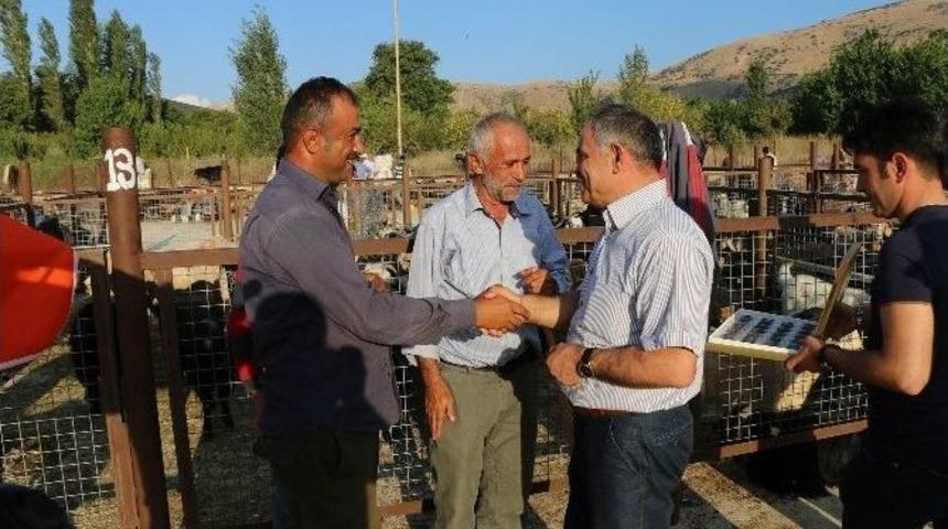 Yahyalı Kurbana Hazır