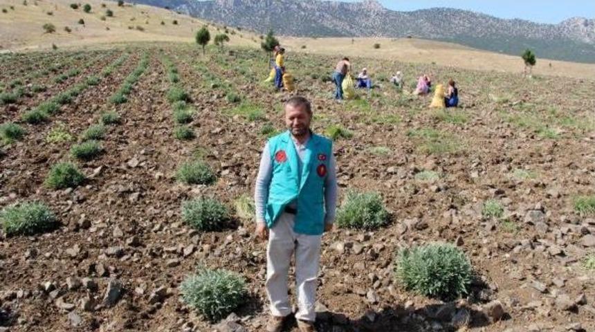 Organik K&ouml;y, 2 Milyon Ton Su Tasarrufu Sağladı