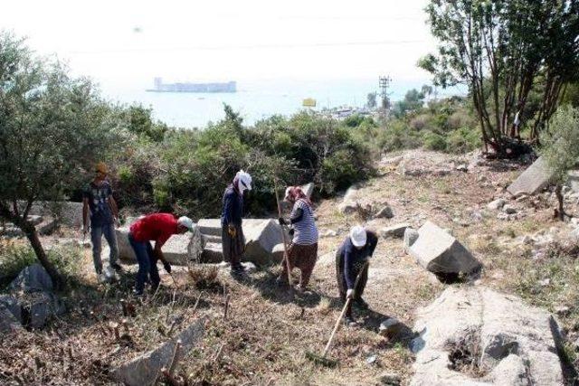 Roma Kral Yolu, Gün Yüzüne Çıkartılıyor