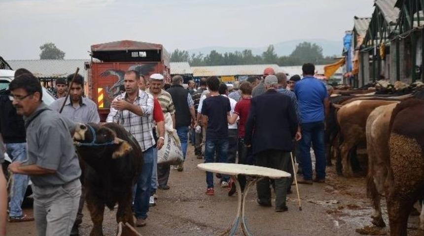 Hayvan Pazarında Arife Yoğunluğu