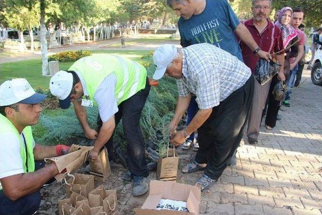 (özel Haber) Fatma Şahin, Mezarlıkta 10 Bin Fidan İle 2 Bin Şal Dağıttı