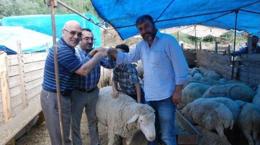 Kurban Satıcılarının Yüzü Güldü