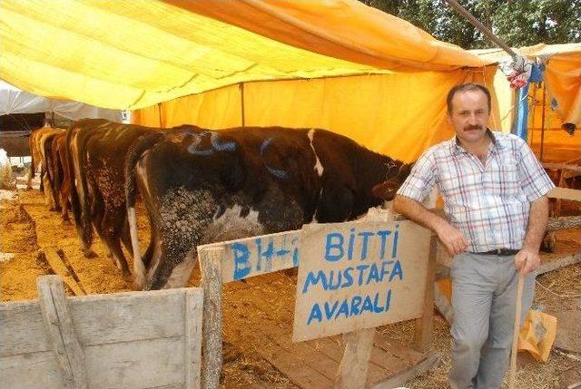 Kurban Satıcılarının Yüzü Güldü