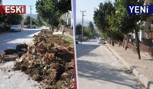 Bozüyük’te Kaldırım Düzenleme Çalışmaları