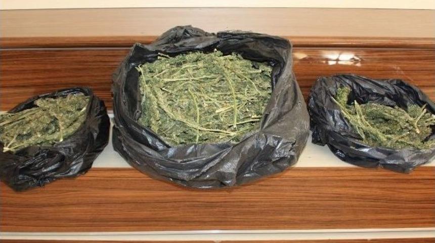 Gaziantep&rsquo;te 10 Kilo Esrar Ele Ge&ccedil;irildi