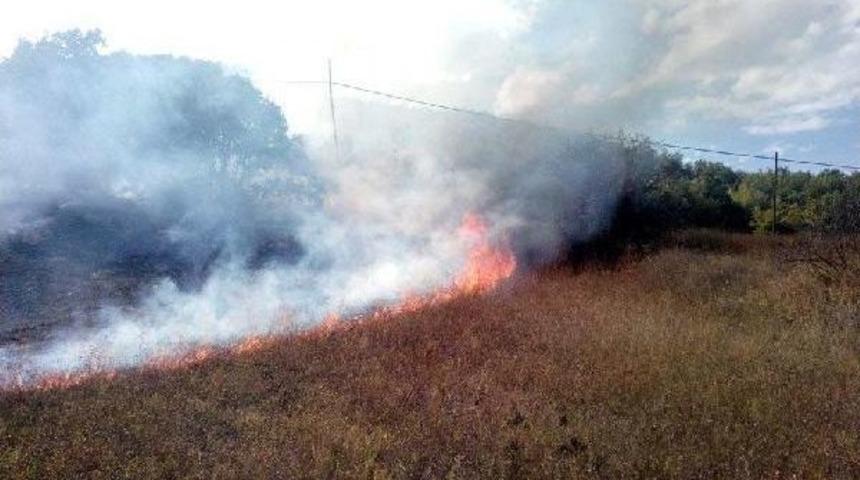Almus'ta Orman Yangını