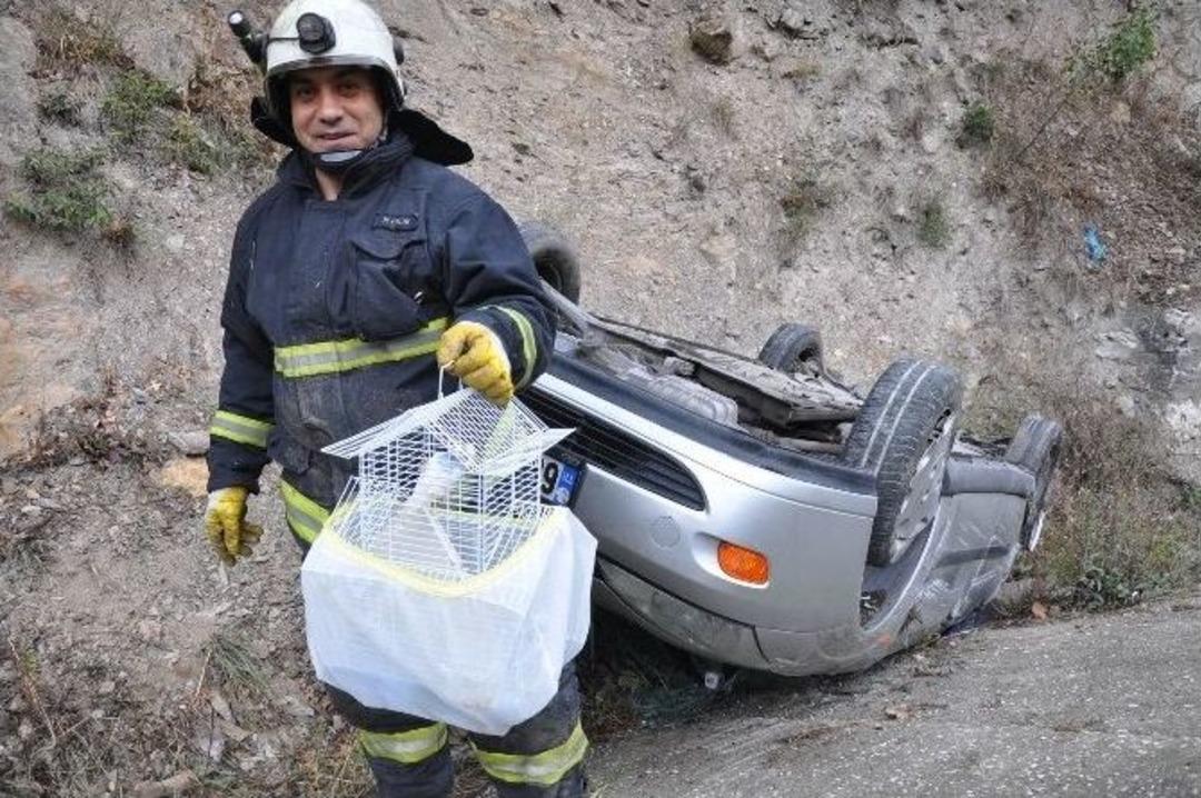Emniyet Kemeri Kuşu Bile Kurtardı
