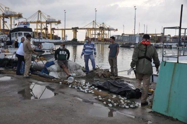 Kayıp Balıkçının Cesedi 15 Gün Sonra Bulundu 2