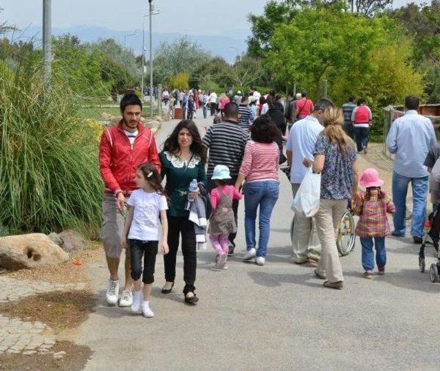 Sasalı Doğal Yaşam Parkı'na Ziyaretçi Akını