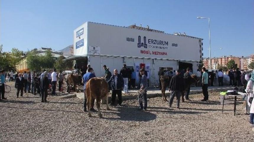 Erzurum&rsquo;da Kurbanlıklar Mobil Mezbaha Da Kesildi