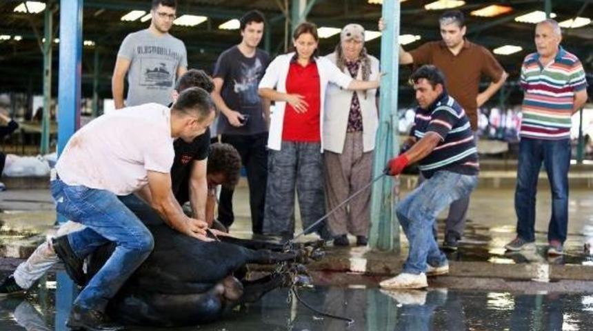 Antalya'da Kurban Bayramı Manzaraları