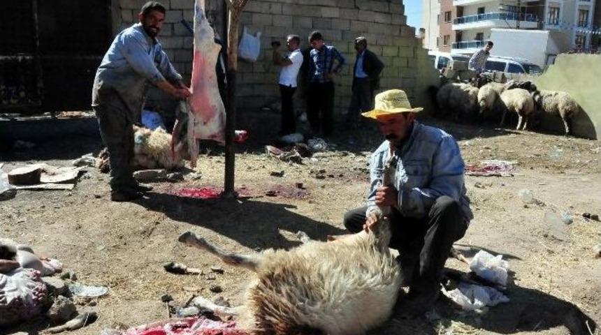 Van&rsquo;da Kurban Bayramı Heyecanı