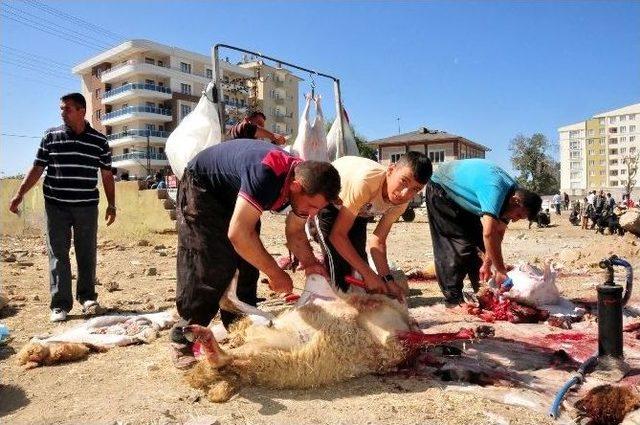 Van’da Kurban Bayramı Heyecanı 1