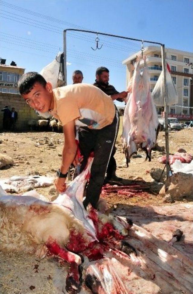 Van’da Kurban Bayramı Heyecanı 3