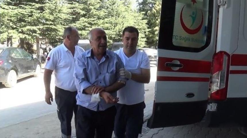 Acemi Kasaplar Kendilerini Kesti