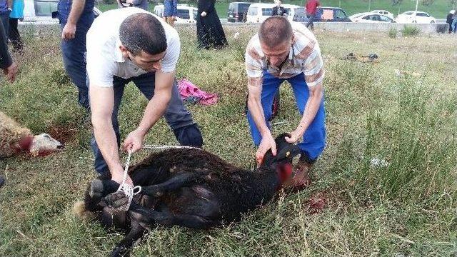 Kurban Bayramı’nda Bu Yıl Da Manzara Değişmedi