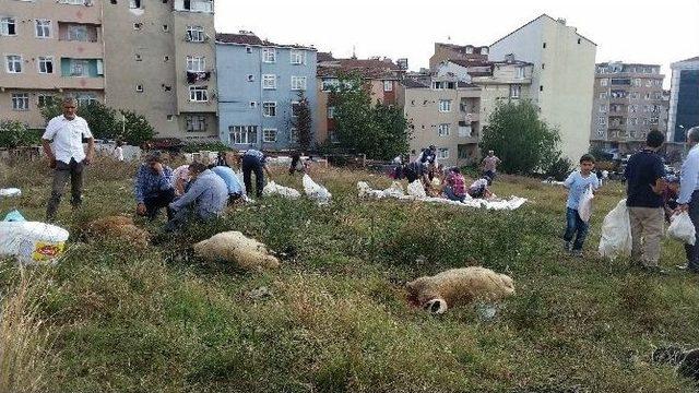 Kurban Bayramı’nda Bu Yıl Da Manzara Değişmedi