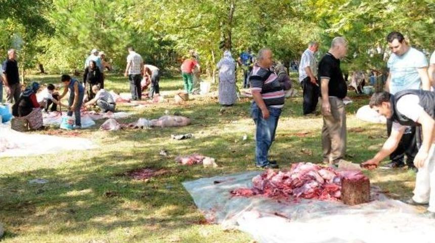 Giresun&rsquo;Da Kadın Ve &Ccedil;ocuk Kasaplar Işbaşında