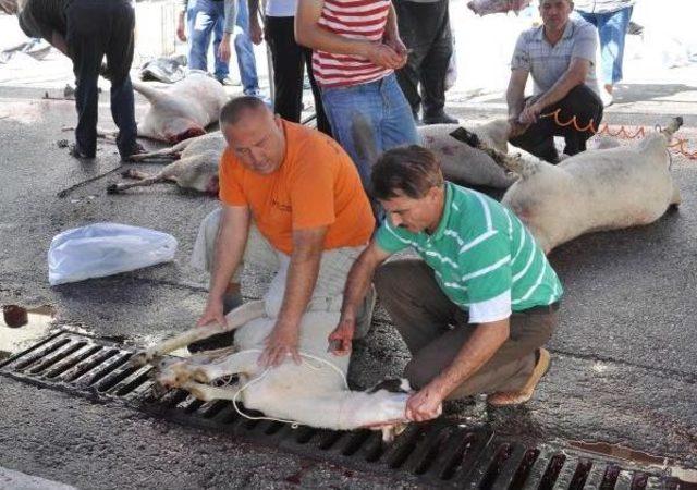 Acemi Kasaplar Denizli'de Acil Servisleri Doldurdu