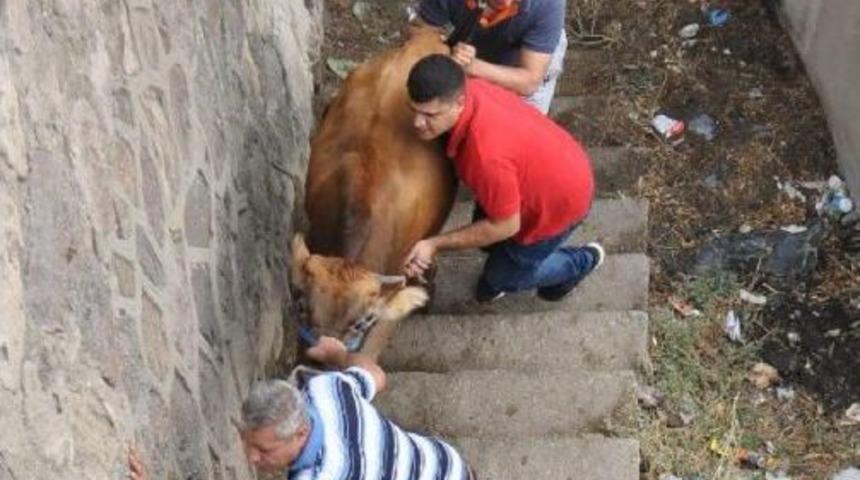 İzmir'de Kurban Bayramı Kutlamalarında Manzara Değişmedi (2)