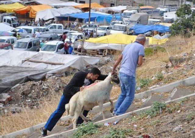 İzmir'de Kurban Bayramı Kutlamalarında Manzara Değişmedi (2)