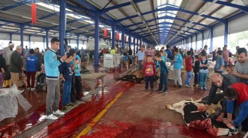 B&uuml;y&uuml;kler Kurban Kesti, K&uuml;&ccedil;&uuml;kler Cep Telefonuna &Ccedil;ekti