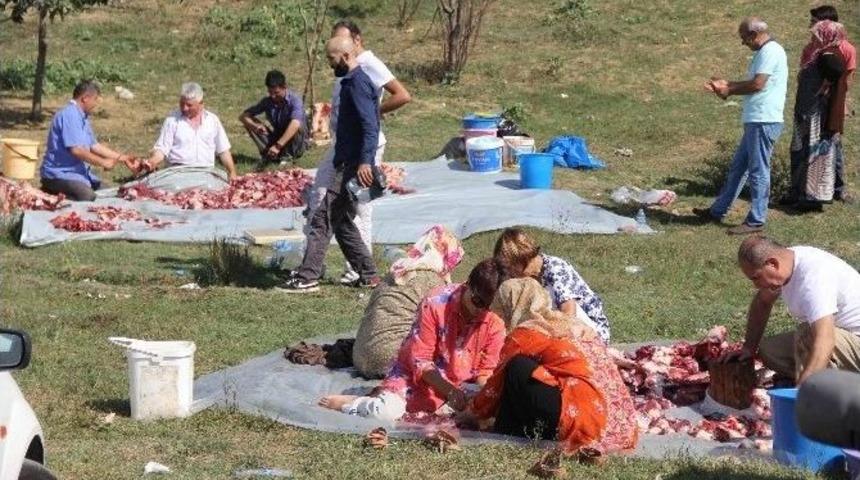 Samsun&rsquo;da Kurban Manzaraları