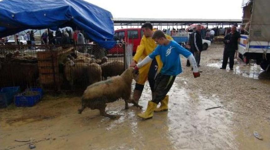 &Ccedil;amura Bulanan Hayvan Pazarı Hem Alıcıyı Hem De Satıcıyı Zorladı