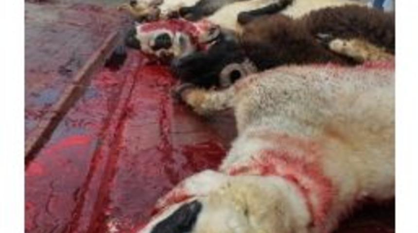 Yollar Kan G&ouml;l&uuml;ne D&ouml;nd&uuml;