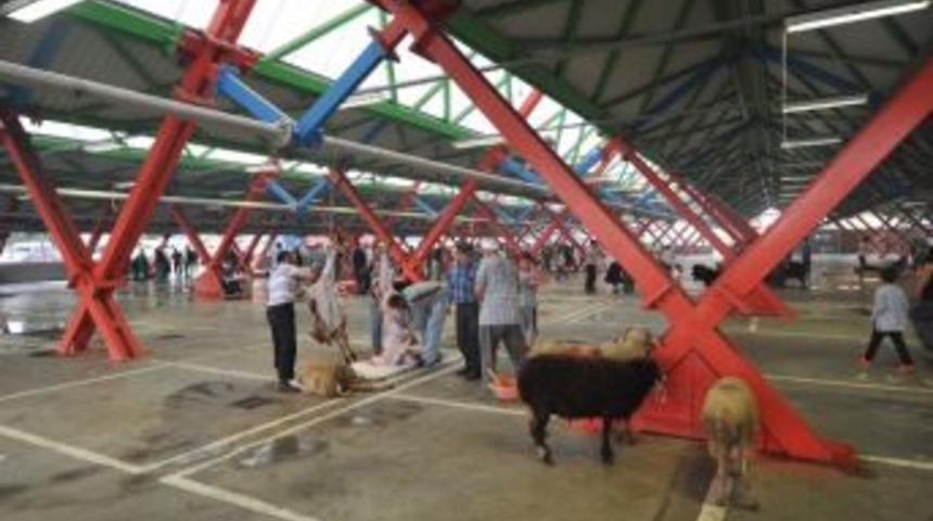 19 Farklı Noktada Hijyenik Kesim