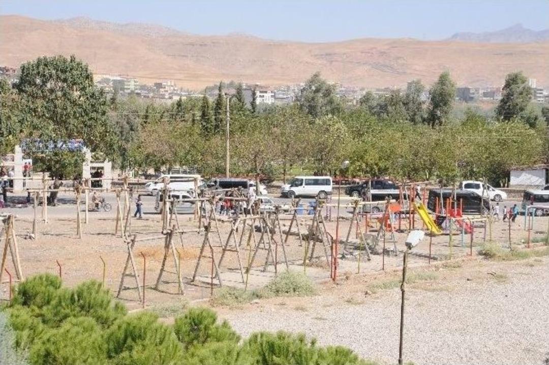 Cizre&rsquo;de Cıncilikler Boş Kaldı