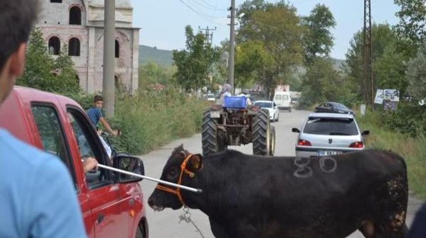Bursa&rsquo;Da Sokakta Kurban Kesme Manzarası Değişmedi (2)