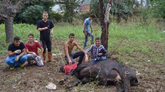 Bursa’Da Sokakta Kurban Kesme Manzarası Değişmedi (2)