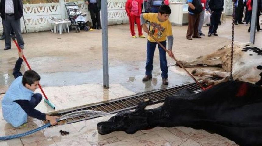 B&uuml;y&uuml;kler Kurban Kesti, K&uuml;&ccedil;&uuml;kler Cep Telefonuna &Ccedil;ekti (2)