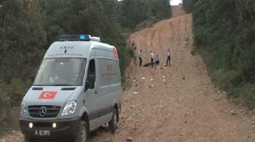 Orman Yolunda Feci Kaza: 1 &Ouml;l&uuml;, 3 Yaralı