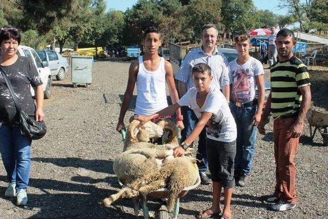 Tekirdağ’da Küçükbaş Kurbanlıkların Fiyatı Arttı