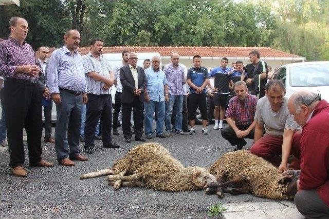 Karabükspor’da Bayramlaşma