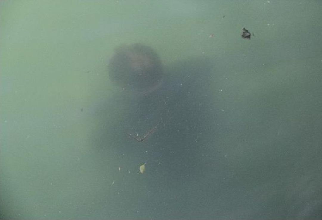 Eve D&ouml;nmeyen Babasının Cesedini Bulunan &Ccedil;ocuk Şoka Girdi