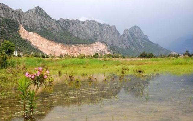 Taş Ocakları &Uuml;z&uuml;mcek Dağı nı Yok Ediyor 1