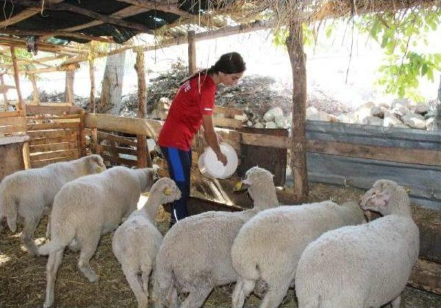 Köydeki Antrenman Sahasından Dünya Birinciliğine