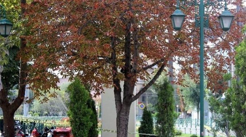 Eskişehir&rsquo;de Ş&uuml;pheli &Ccedil;anta Paniği