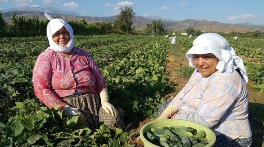 Tarım İş&ccedil;ilerinin Bayramı Yok
