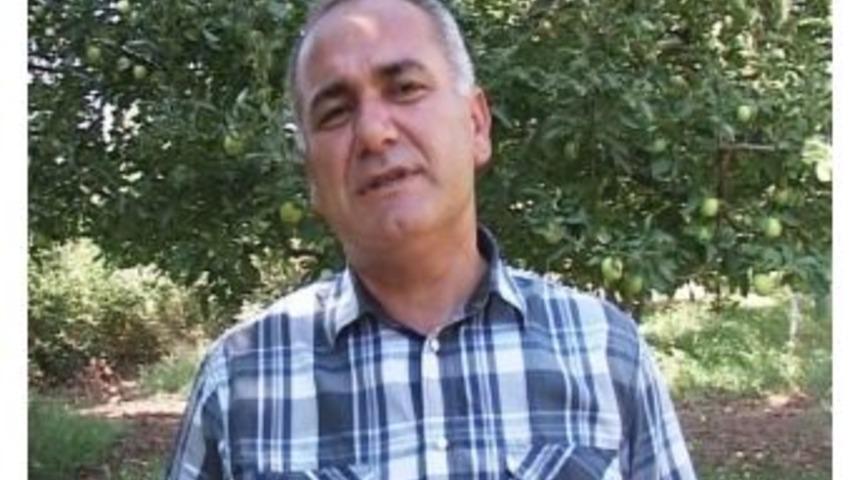 Kayısıda Budama D&ouml;nemi