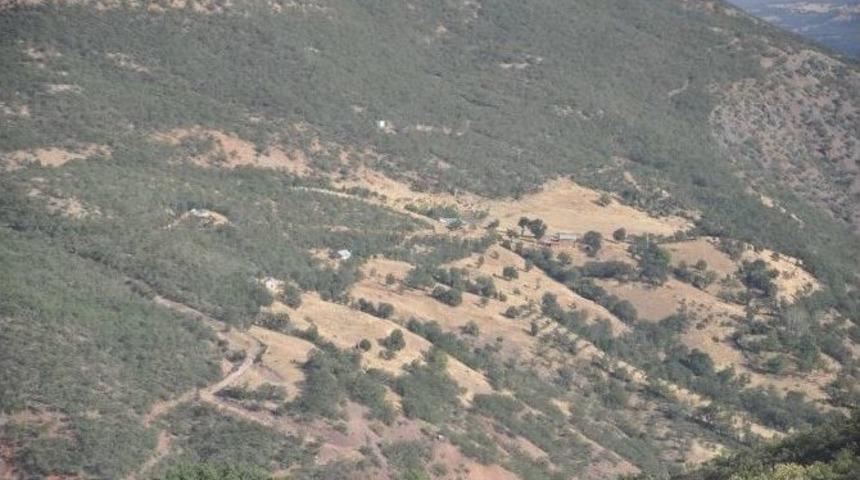 Tunceli&rsquo;de Binbaşını Şehit Eden Ter&ouml;ristlere Operasyon