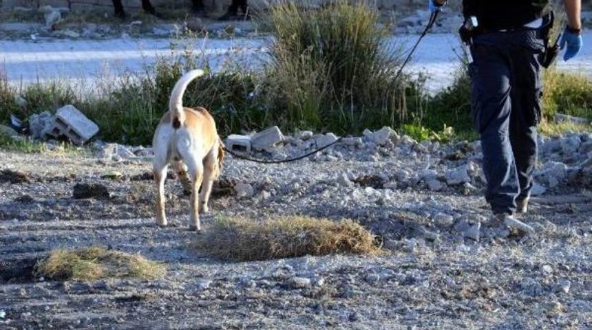 Van'da Okul Yolunda Bomba Bulundu
